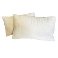Coppia cuscini guanciali da letto anallergico aloe Guanciale Made in italy