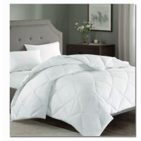 Piumino invernale interno in microfibra caldo varie dimensioni Sant Moritz unico