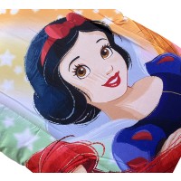 Trapunta INVERNALE piumone disney bimbo bimba spiderman topolino frozen minnie singolo