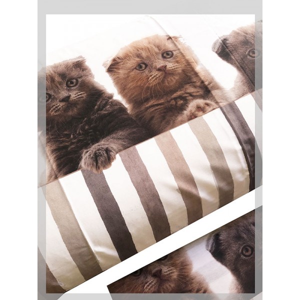 Completo lenzuola letto singolo puro cotone in italy stampa digitale gatto  cane :: Easy Home Store